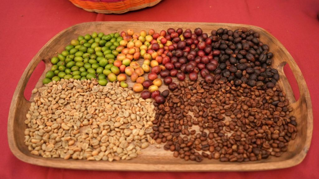 CLAUDIA SHEINBAUM CAFÉ BIENESTAR