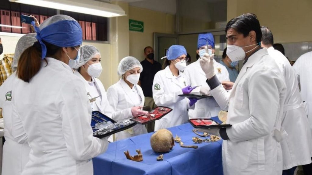 CARRERAS SALUD UAS CURSOS