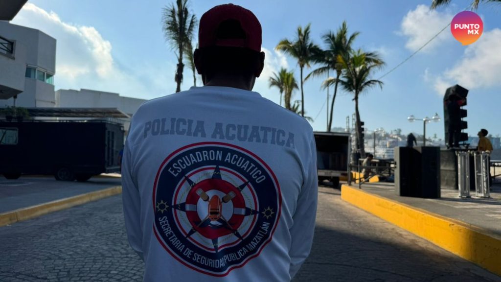 carnaval mar banderines