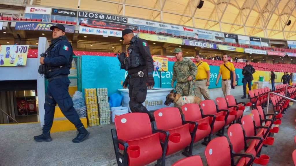 RECONOCE ROCHA SEGURIDAD CARNAVAL