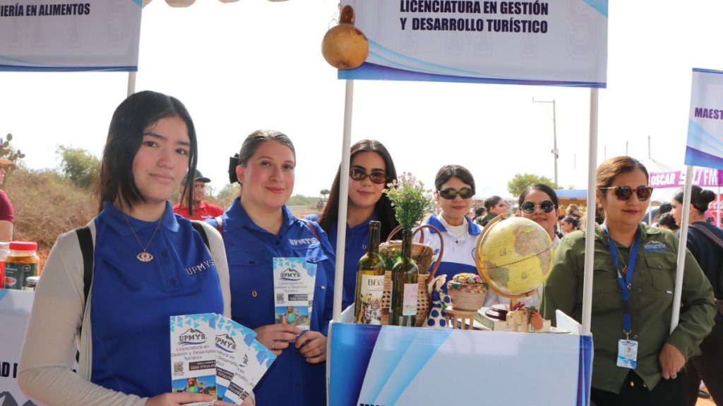 ENFOQUE PRÁCTICO CALIDAD UPMYS