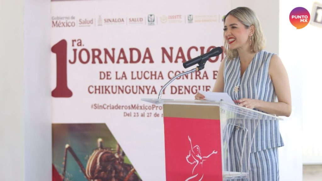 BLINDARÁN MAZATLÁN ESTRELLA PALACIOS