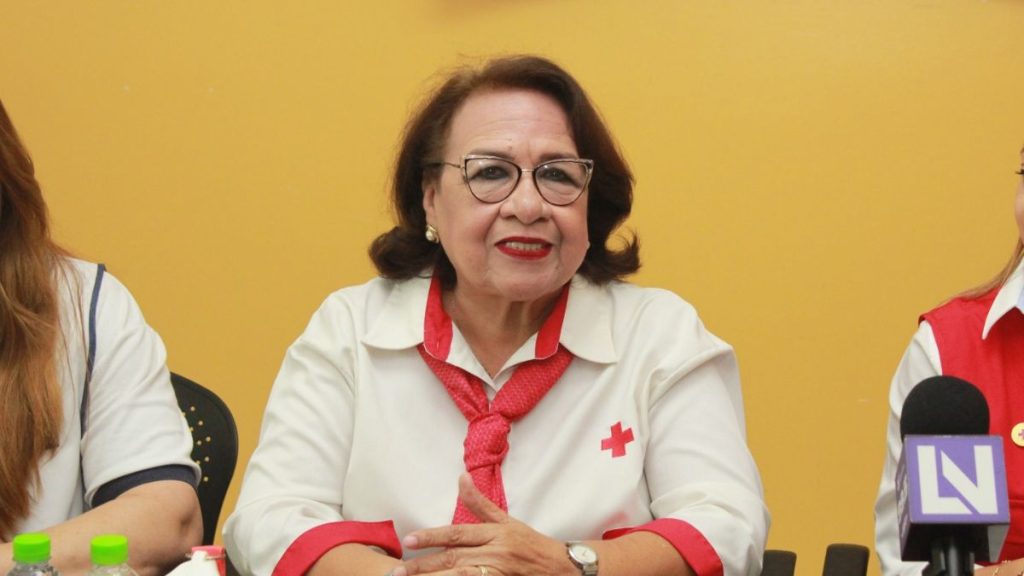 CRUZ ROJA FLORES MAYO