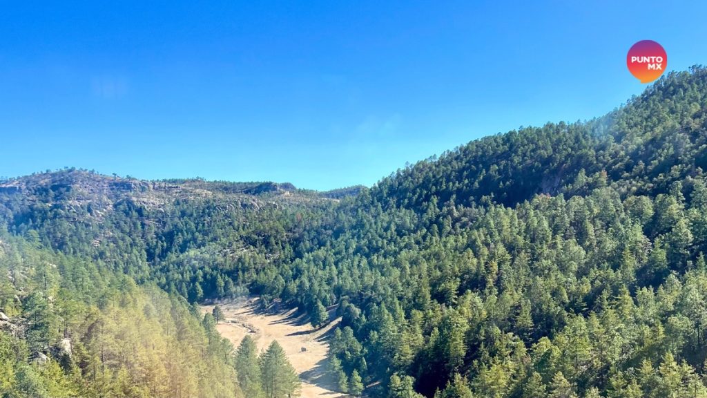 EL CHEPE SIERRA MADRE