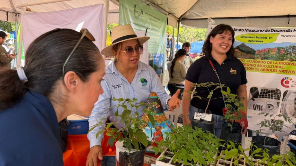 EXPO AMBIENTAL SON PLAYAS