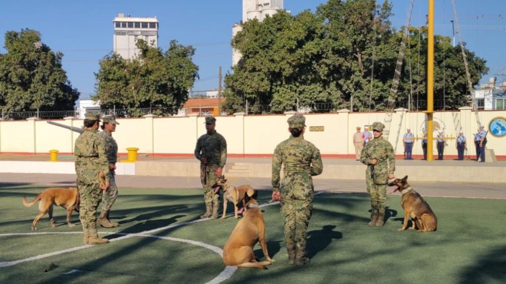 GAIA SE JUBILA SEMAR