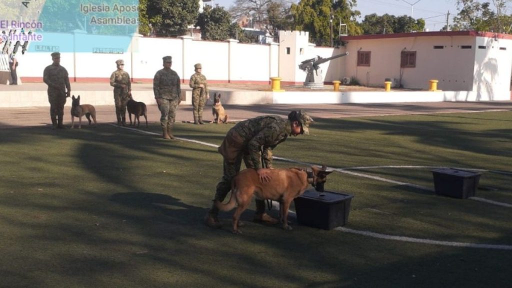 GAIA SE JUBILA MARINA