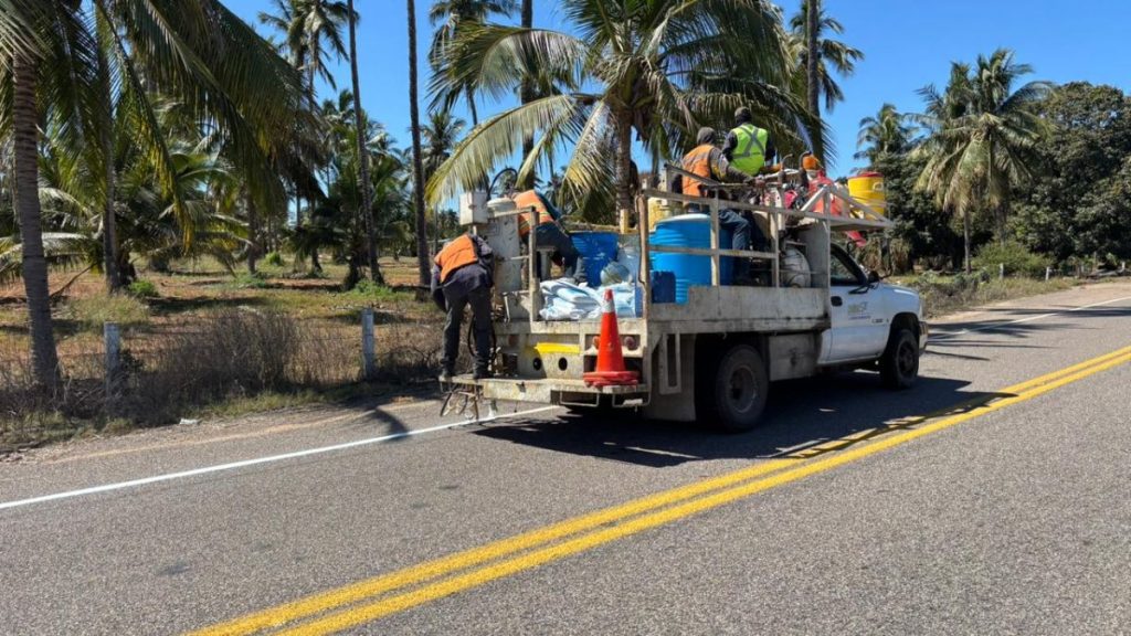MANITA GATO CARRETERAS SINALOA