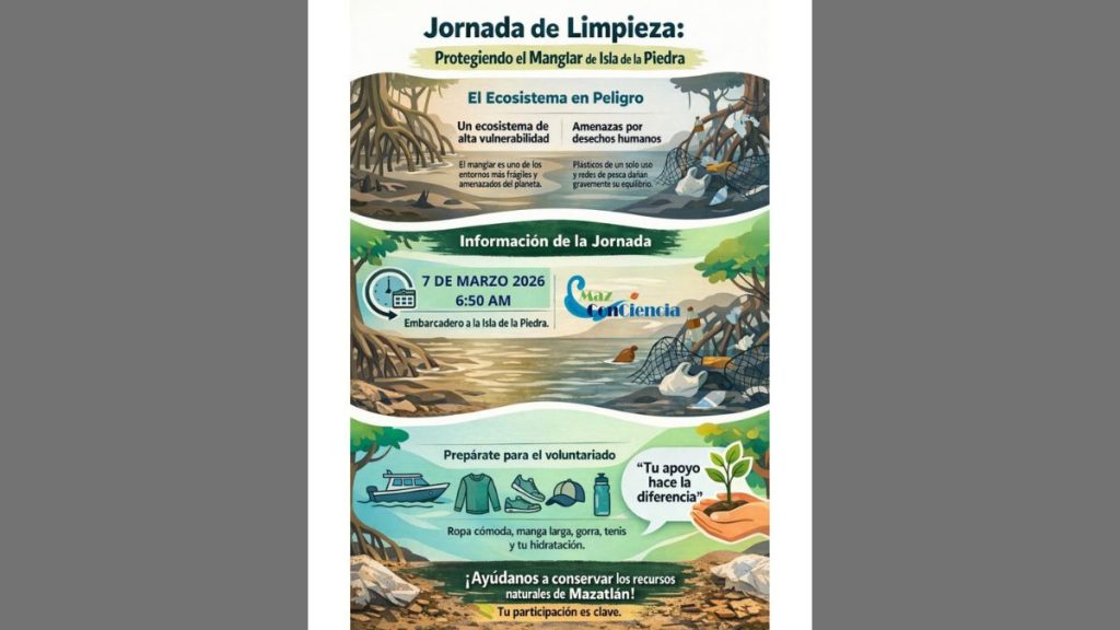 MAZCONCIENCIA MANGLAR ISLA PIEDRA