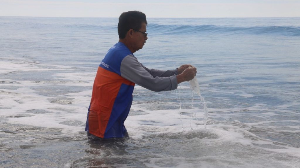 APRUEBA COFEPRIS PLAYAS SINALOA