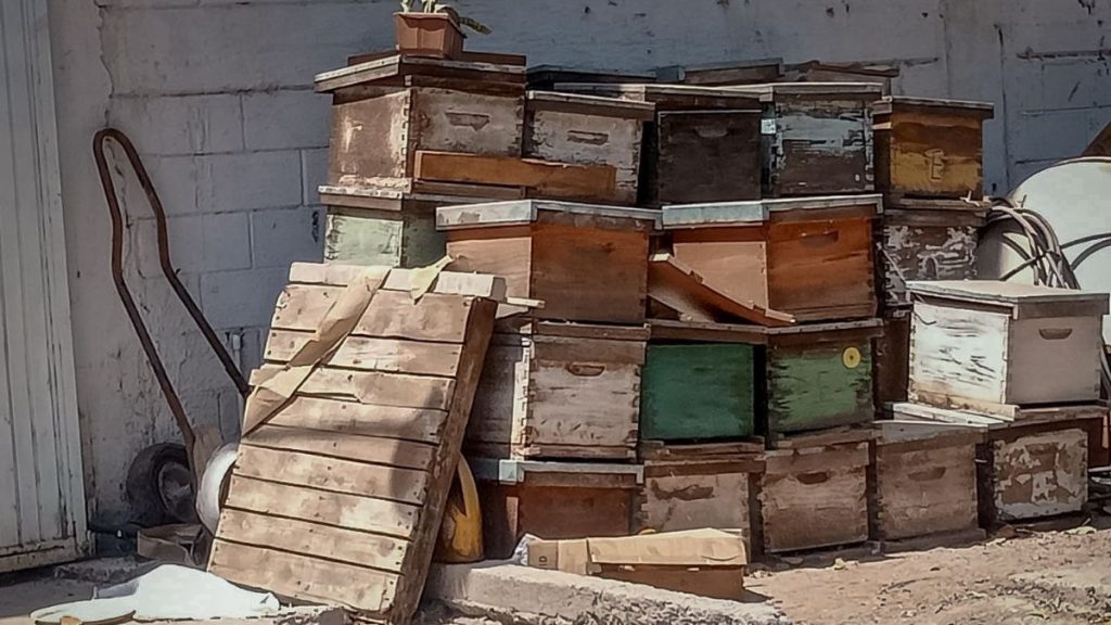 PC CULIACÁN ATAQUE ABEJAS