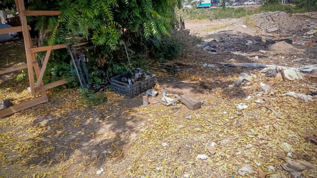 PC CULIACÁN ATAQUE ABEJAS