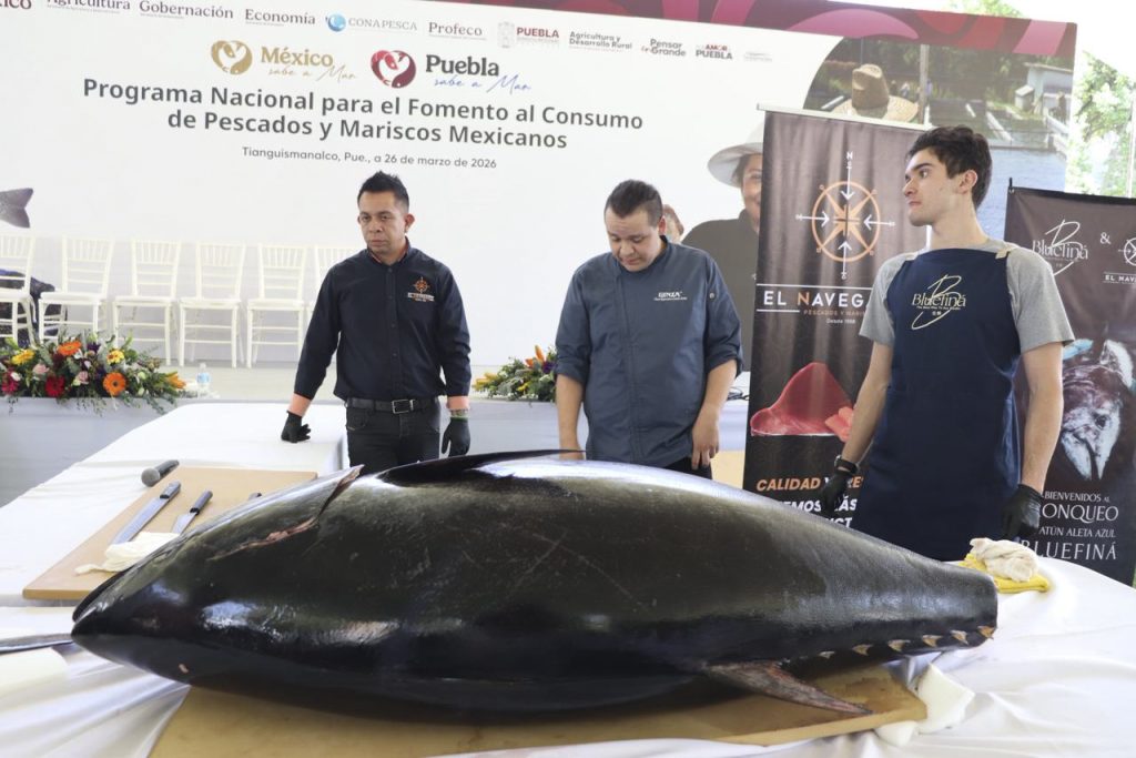 MÉXICO SABE MAR CONAPESCA