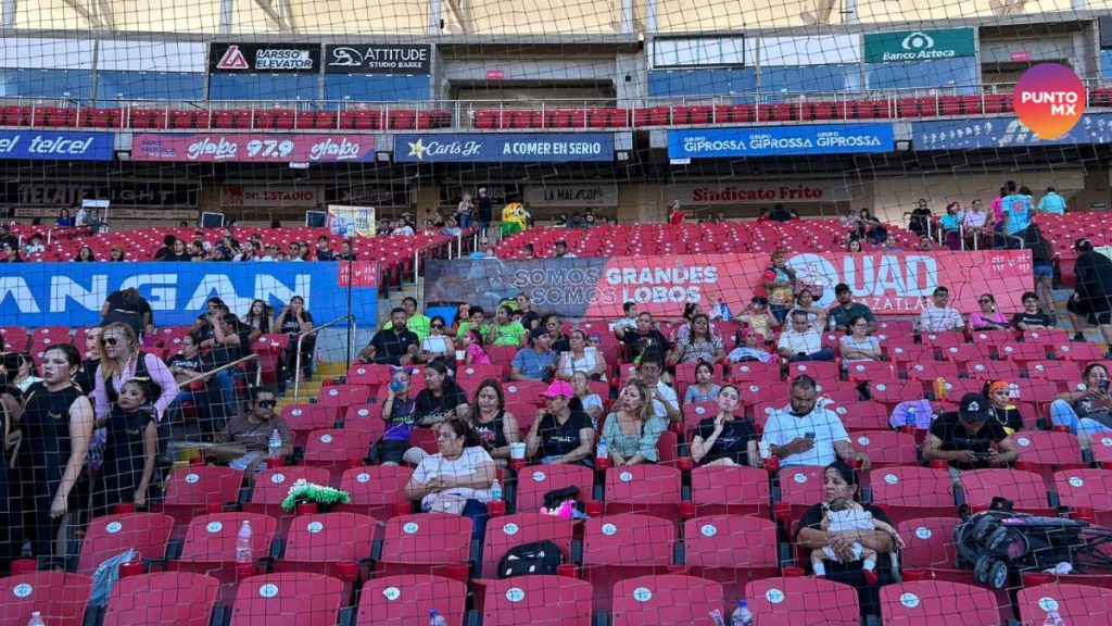 GRAN BAZAR MAZFEST VENADOS