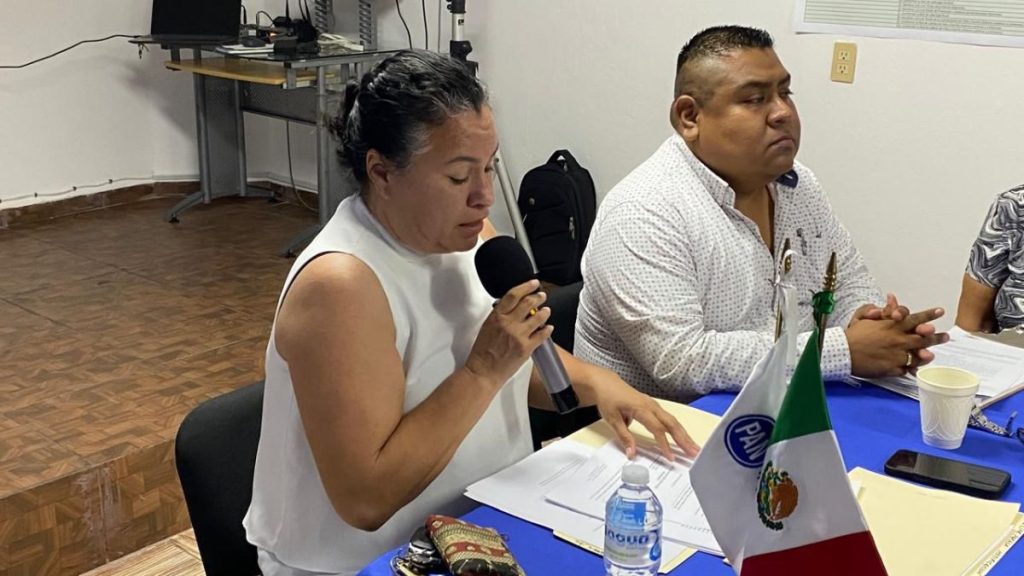 PRESIDENTE INTERINO PAN MAZATLÁN