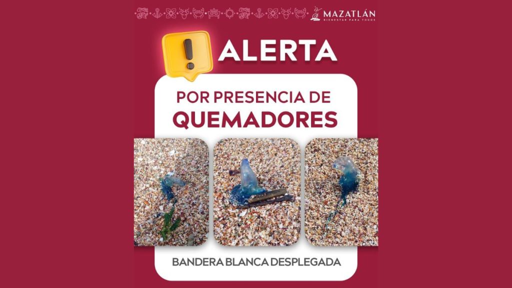 ALERTAN QUEMADORES PLAYAS MAZATLÁN