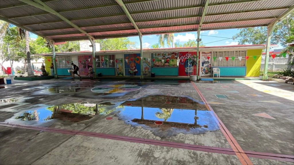 RETIRAN ENJAMBRE ABEJAS KÍNDER