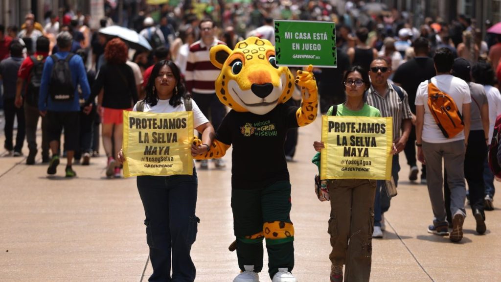 GREENPEACE BELLAS ARTES