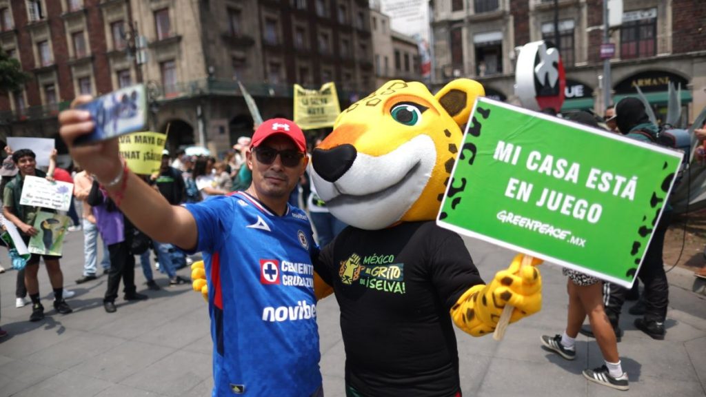 GREENPEACE BELLAS ARTES