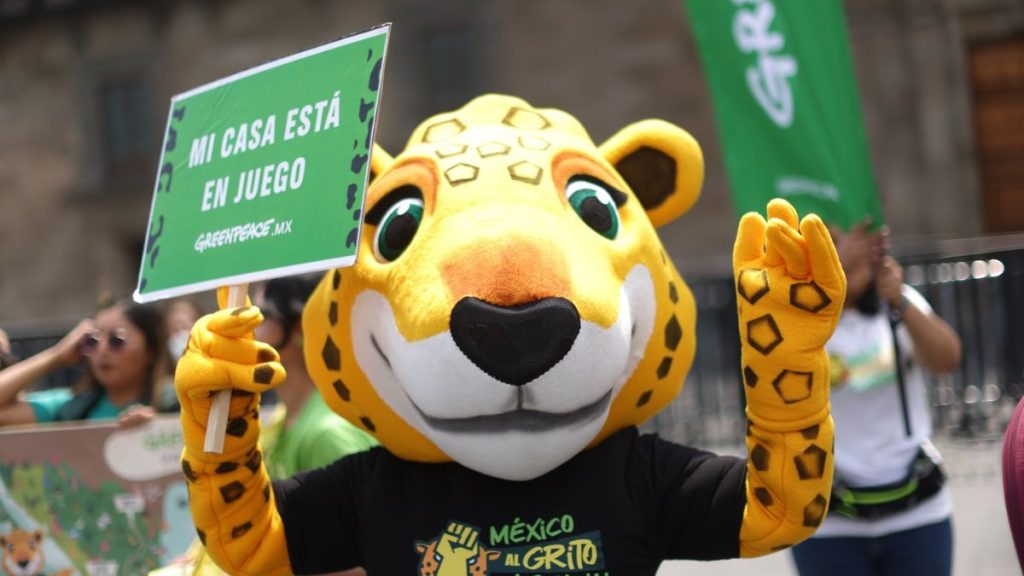GREENPEACE BELLAS ARTES