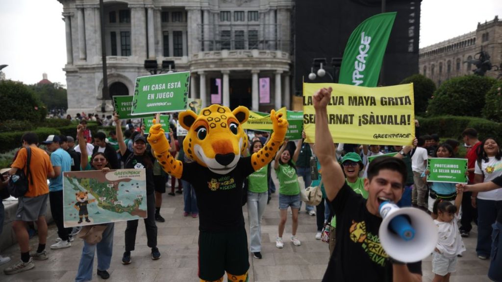GREENPEACE BELLAS ARTES