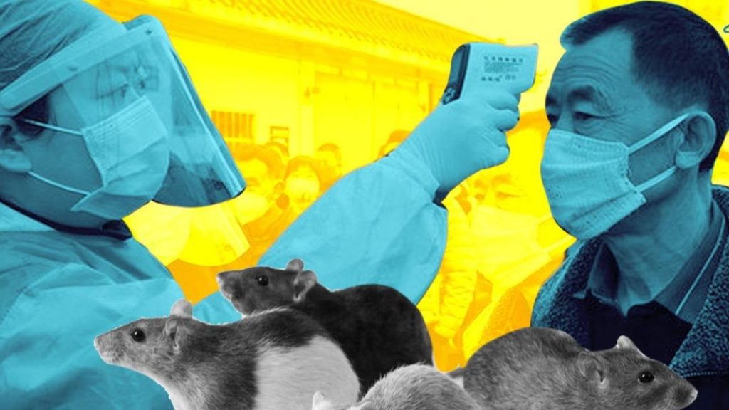 HANTAVIRUS CRUCERO