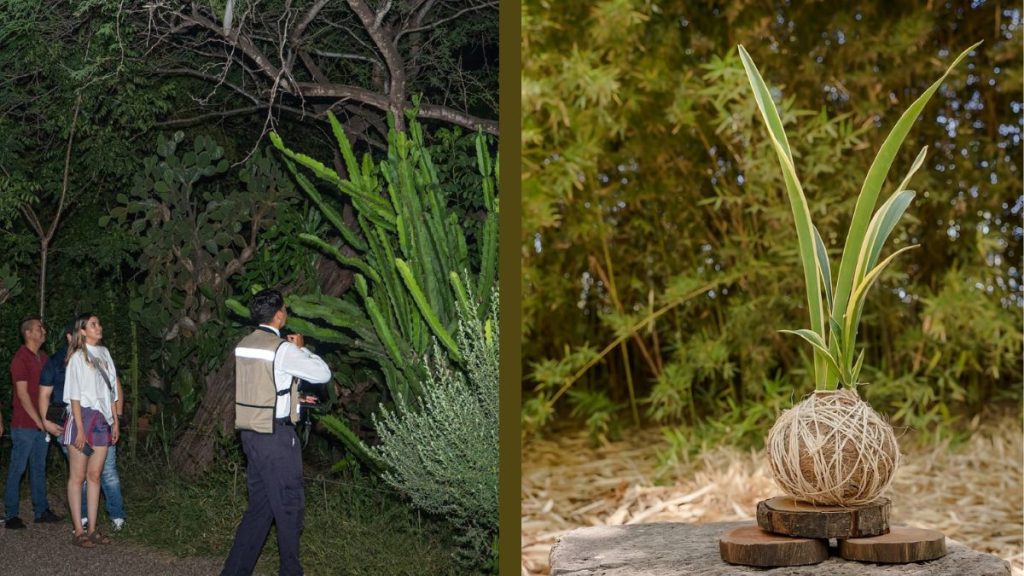 MAYO EN JARDÍN BOTÁNICO