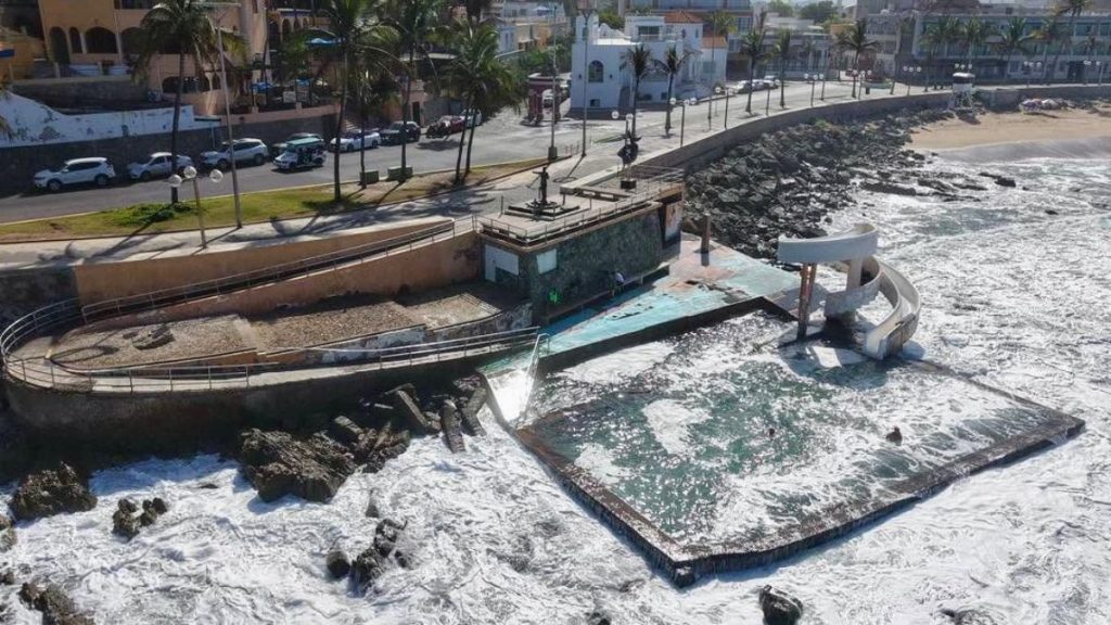 CARPA OLIVERA