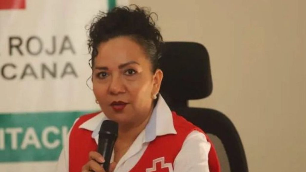 CRUZ ROJA CURSOS VERANO