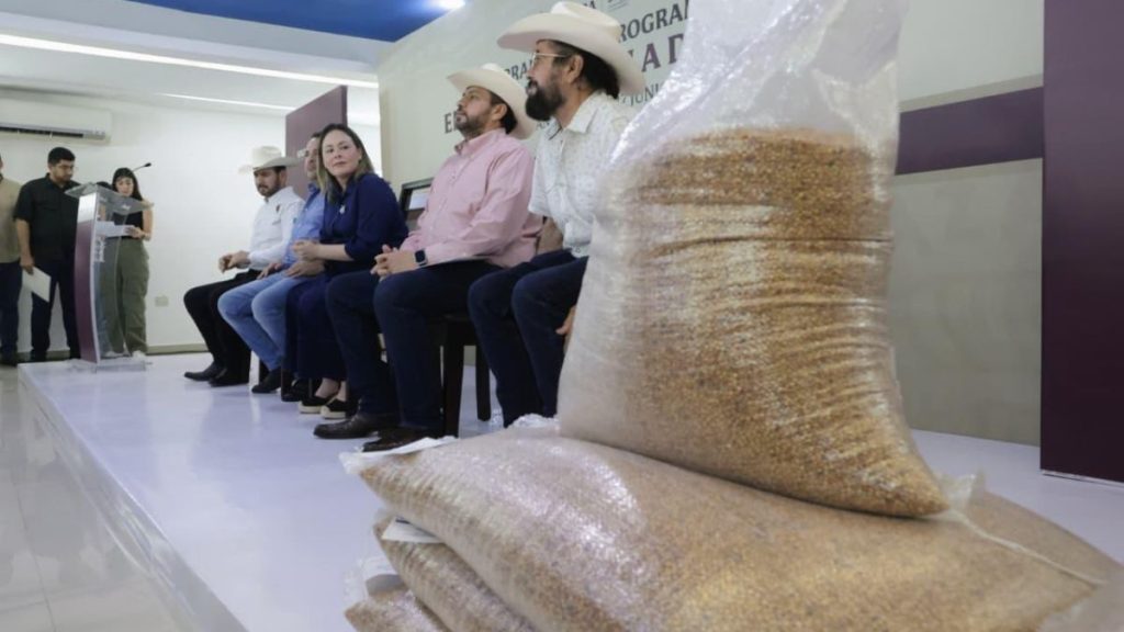 SEMILLA SORGO GANADEROS SINALOA