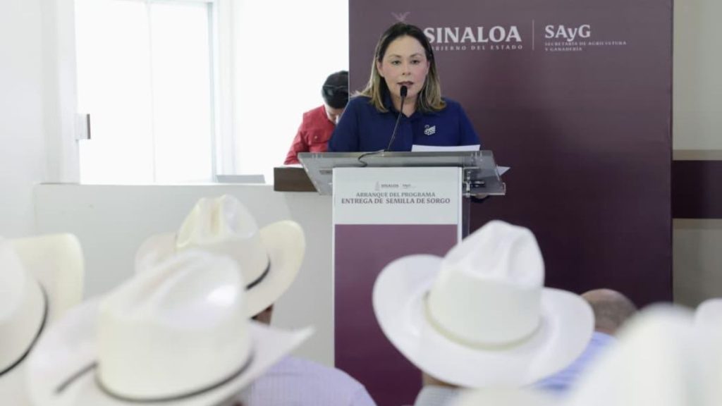 SEMILLA SORGO GANADEROS SINALOA