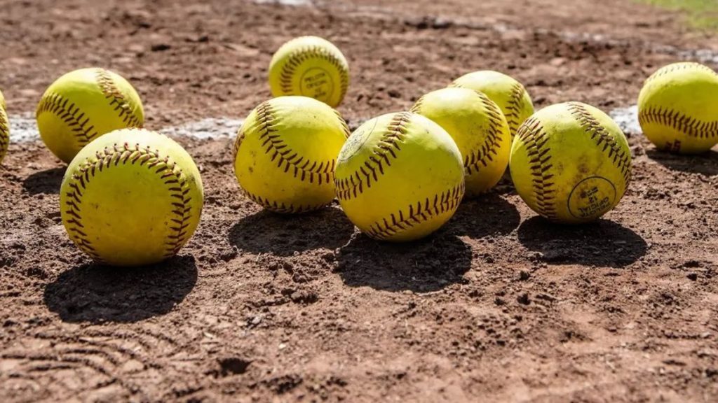 YUCATÁN LIGA SOFTBOL LEONAS
