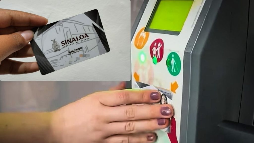 SINALOA TARJETA IDENTIDAD ESTUDIANTIL