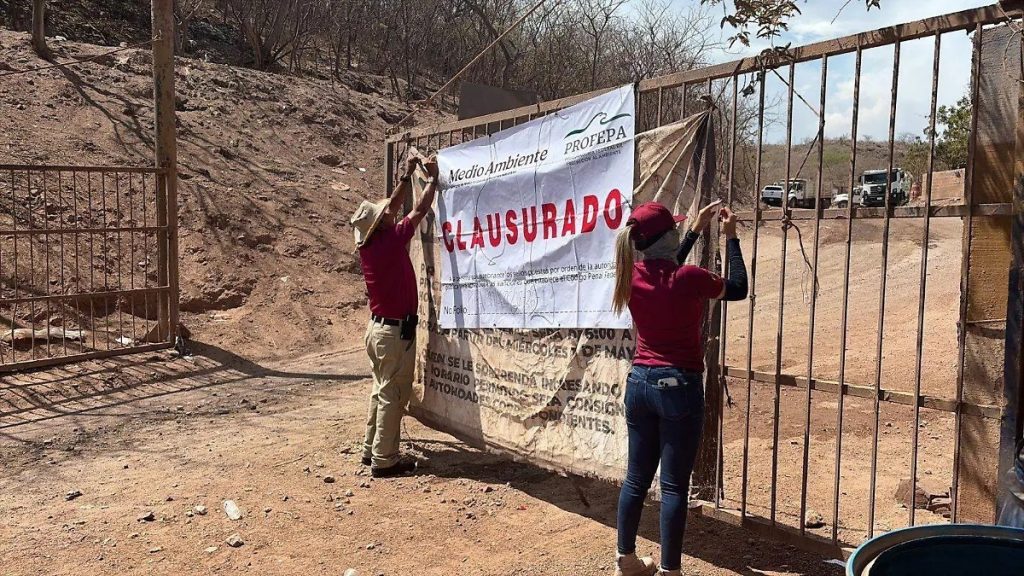 CLAUSURA PROFEPA AYUNTAMIENTO AMPARO